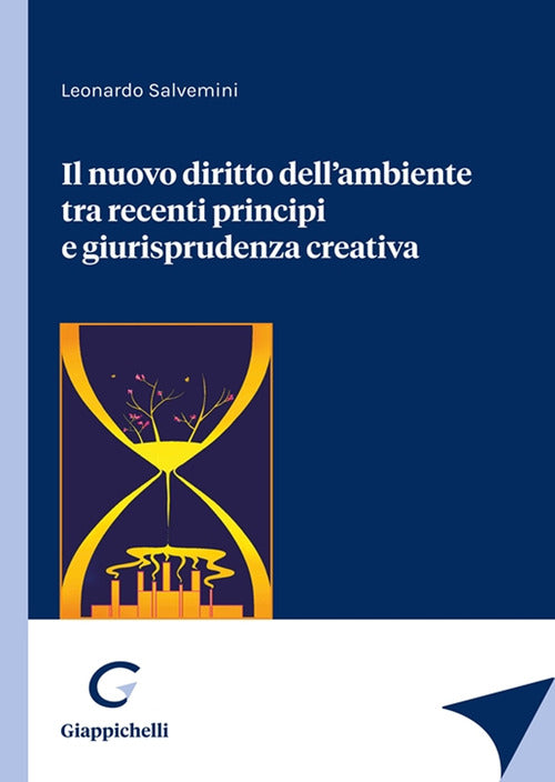 Cover of nuovo diritto dell'ambiente tra recenti principi e giurisprudenza creativa