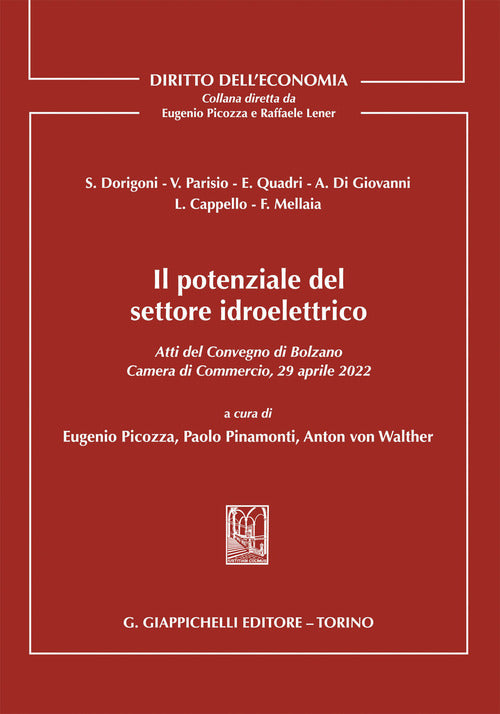Cover of potenziale del settore idroelettrico. Atti del Convegno di Bolzano 29 aprile 2022 tenutosi presso la Camera di Commercio, Industria, Artigianato e Agricoltura di Bolzano