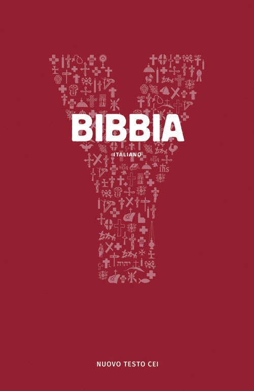 Cover of Y Bibbia. Bibbia dei giovani della Chiesa cattolica