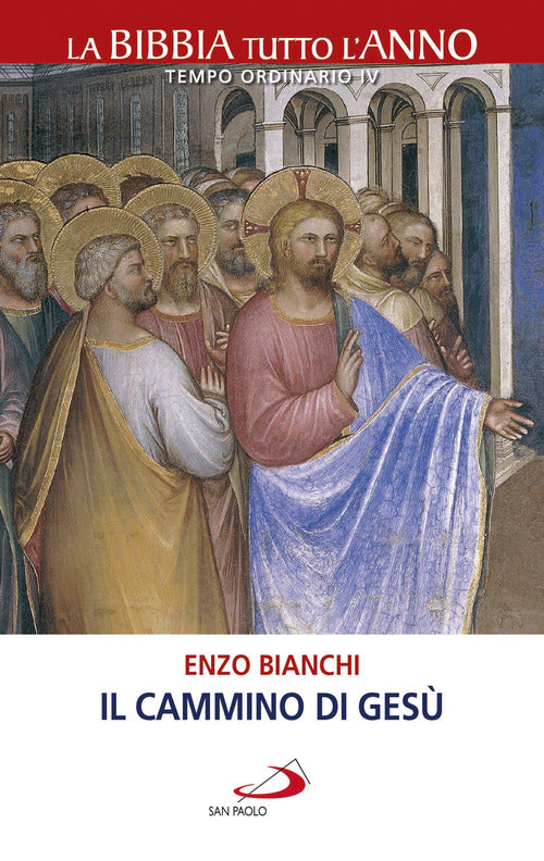 Cover of cammino di Gesù. La Bibbia tutto l'anno. Tempo ordinario IV