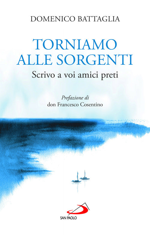 Cover of Torniamo alle sorgenti. Scrivo a voi amici preti
