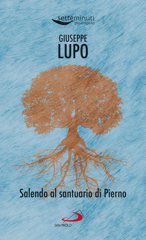 Cover of Salendo al santuario di Pierno