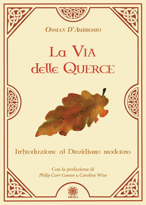 Cover of via delle querce. Introduzione al druidismo moderno