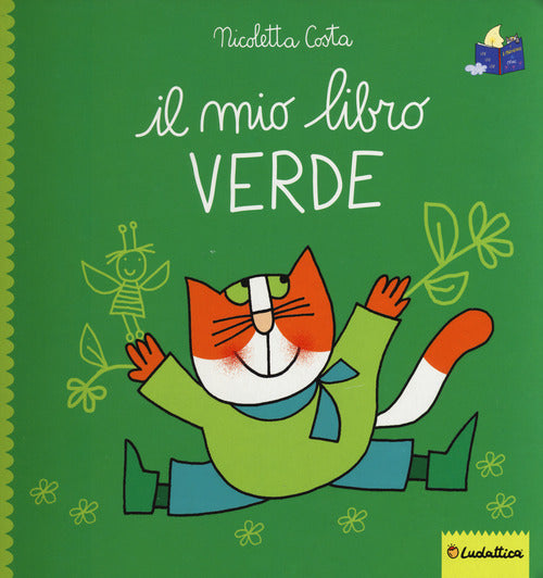 Cover of mio libro verde