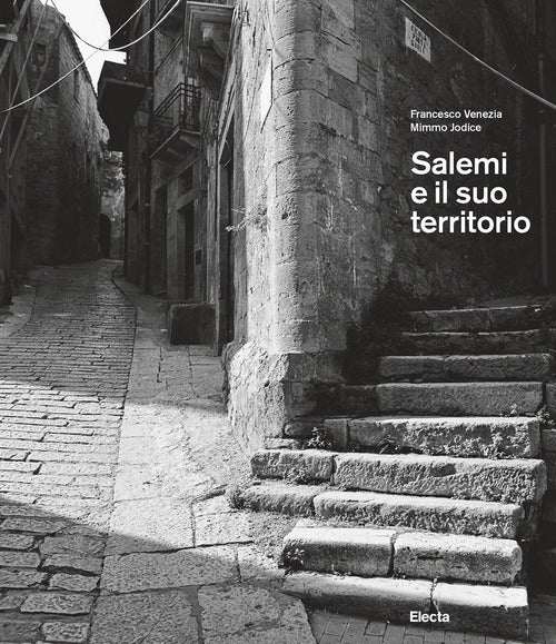 Cover of Salemi e il suo territorio