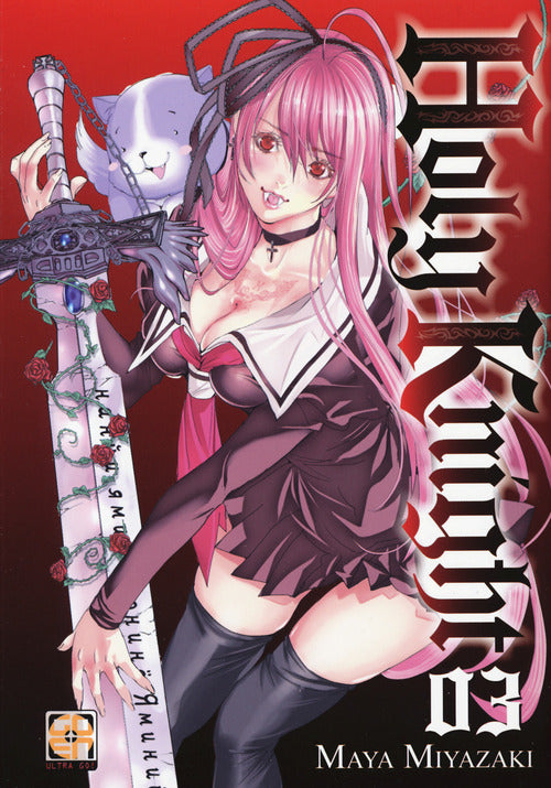 Cover of Holy knight