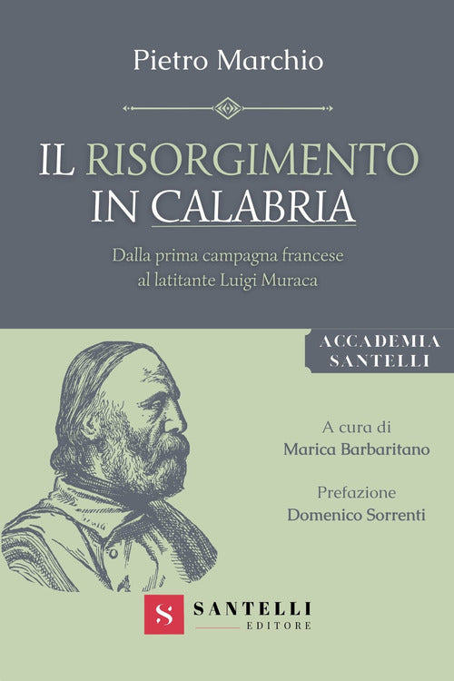 Cover of Risorgimento in Calabria. Dalla prima campagna francese al latitante Luigi Muraca