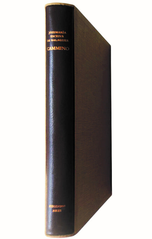 Cover of Cammino