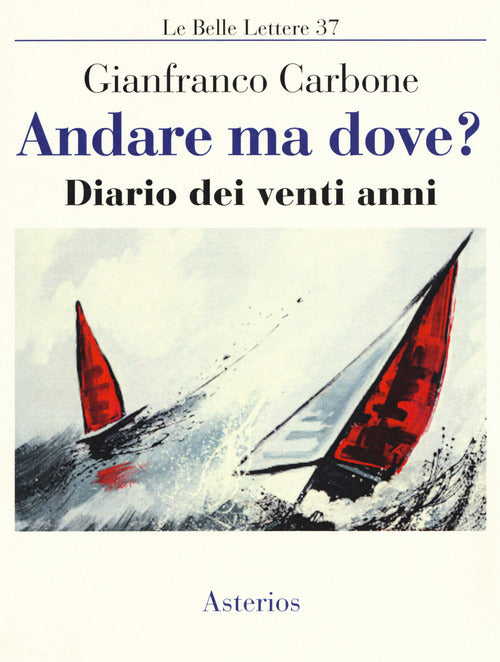Cover of Andare ma dove? Diario dei venti anni