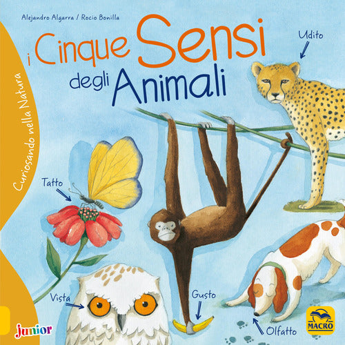 Cover of cinque sensi degli animali. Curiosando nella natura