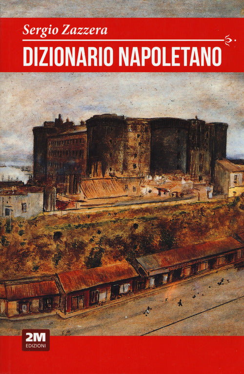 Cover of Dizionario napoletano