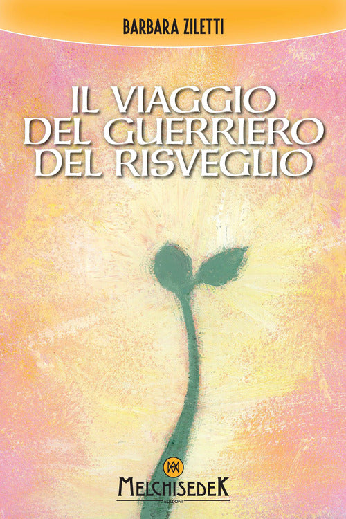 Cover of viaggio del guerriero del risveglio