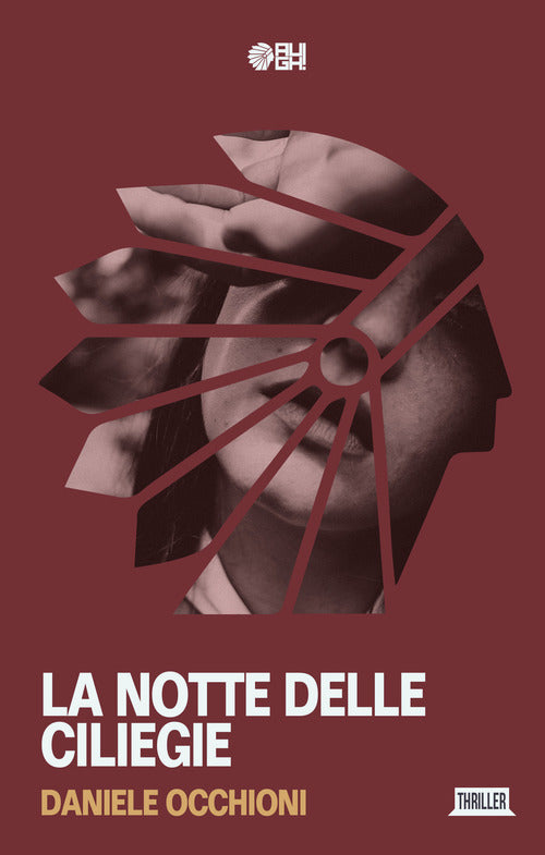 Cover of notte delle ciliegie