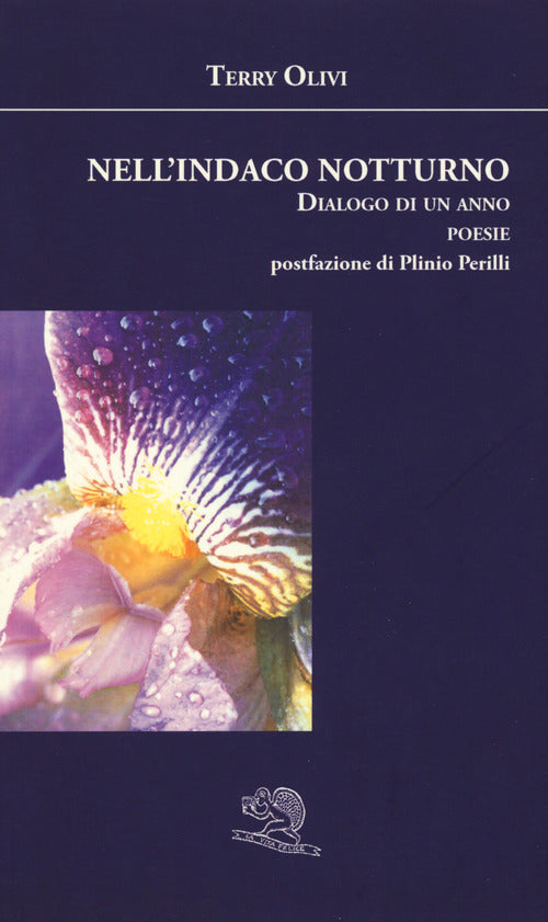 Cover of Nell'indaco notturno. Dialogo di un anno