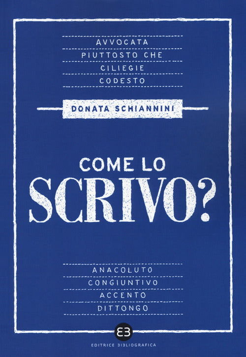 Cover of Come lo scrivo? Guida pratica a una lingua che cambia