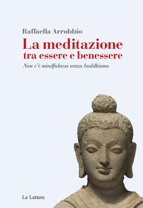 Cover of meditazione tra essere e benessere. Non c’è mindfulness senza buddhismo