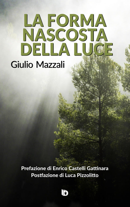 Cover of forma nascosta della luce