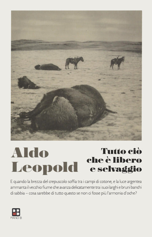 Cover of Tutto ciò che è libero e selvaggio