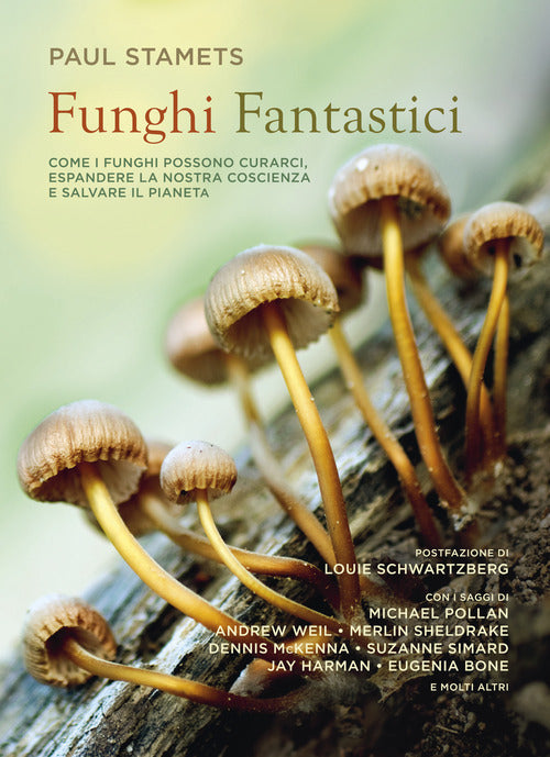 Cover of Funghi fantastici