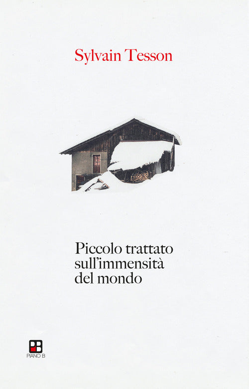 Piccolo trattato sull'immensit del mondo