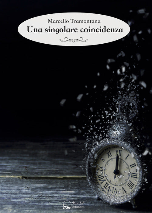 Cover of singolare coincidenza