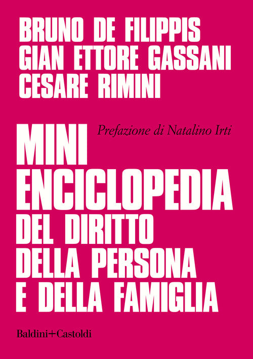 Cover of Mini enciclopedia del diritto della persona e della famiglia