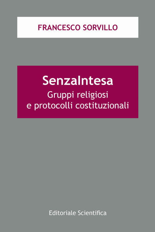 Cover of SenzaIntesa. Gruppi religiosi e protocolli costituzionali