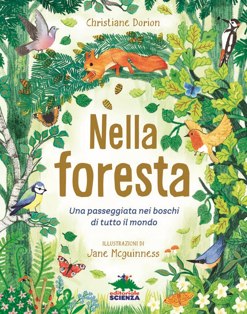 Cover of Nella foresta. Una passeggiata nei boschi di tutto il mondo