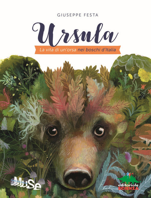 Cover of Ursula. La vita di un'orsa nei boschi d'Italia