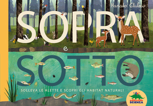 Cover of Sopra e sotto. Solleva le alette e scopri gli habitat naturali