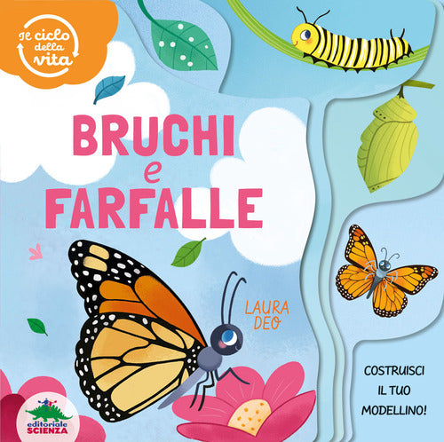 Cover of Bruchi e farfalle. Il ciclo della vita