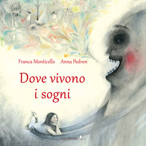 Cover of Dove vivono i sogni