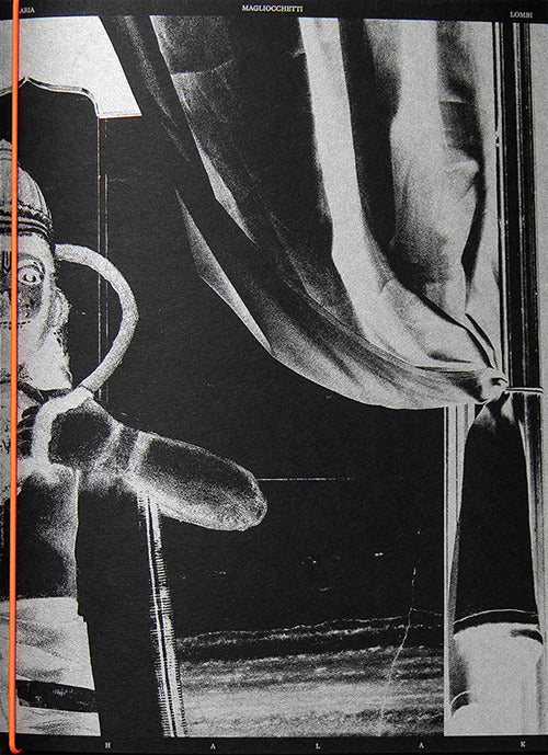 Cover of Jhalak. Ediz. italiana e inglese
