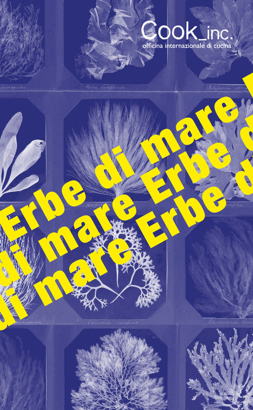 Cover of Erbe di mare