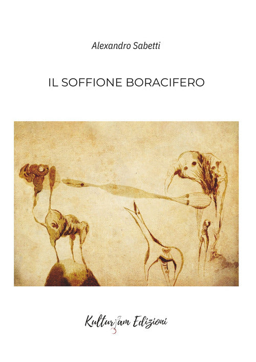 Cover of soffione boracifero