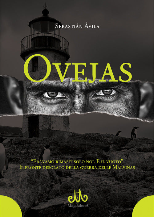 Ovejas. Eravamo rimasti solo noi. E il vuoto. Il fronte desolato della guerra delle Malvinas