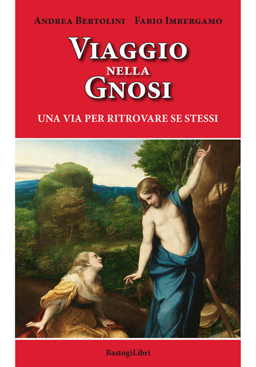 Cover of Viaggio nella gnosi. Una via per ritrovare se stessi
