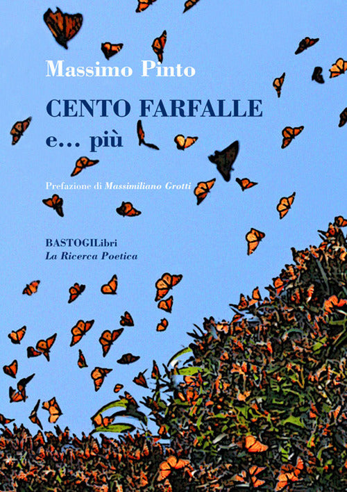 Cover of Cento farfalle e… più
