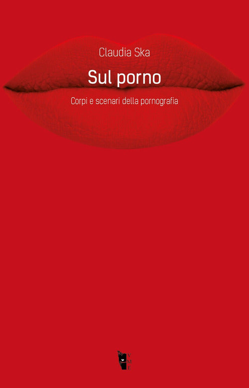 Cover of Sul porno. Corpi e scenari della pornografia