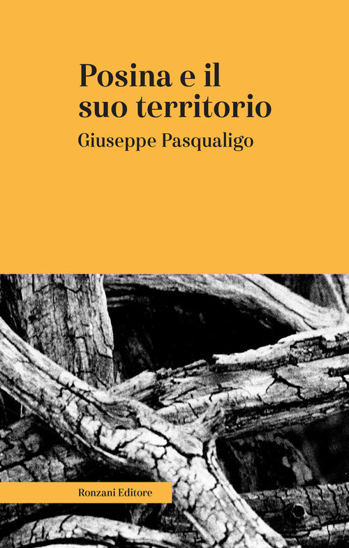 Cover of Posina e il suo territorio. Nei rapporti fisio-medico-storico-statistici
