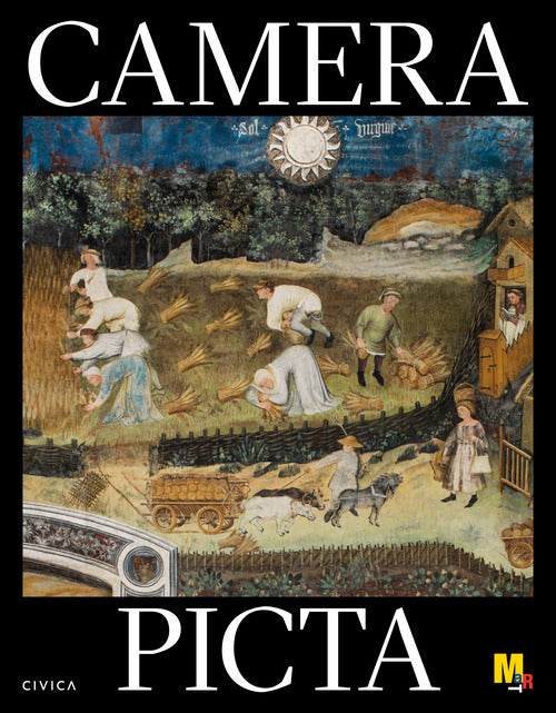 Cover of Camera Picta. Ediz. italiana e inglese