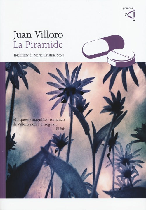 Cover of piramide
