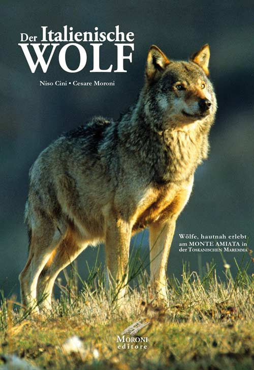 Cover of Italianische Wolf. Gelebte alltagsleben der apenninischen Wölfe am Monte Amiata in der Toskanischen Maremma
