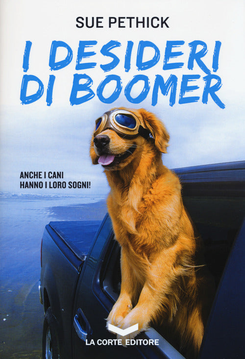 Cover of desideri di Boomer