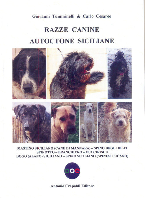 Cover of Razze canine autoctone siciliane. Mastino siciliano (Cane di Mannara). Spino degli Iblei. Spinotto. Branchiero. Vucciriscu. Dogo (Alano) Siciliano. Spino siciliano (Spinusu sicano)