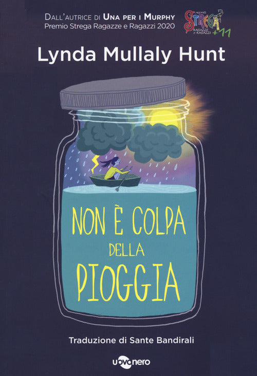 Cover of Non è colpa della pioggia