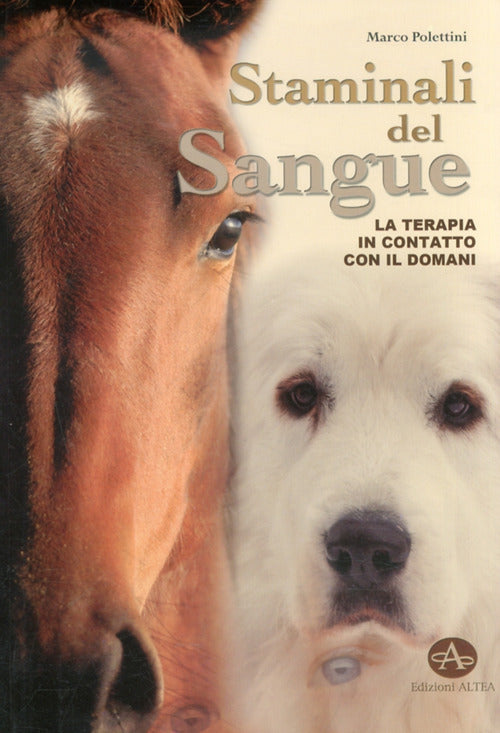 Cover of Staminali del sangue. La terapia in contatto con il domani