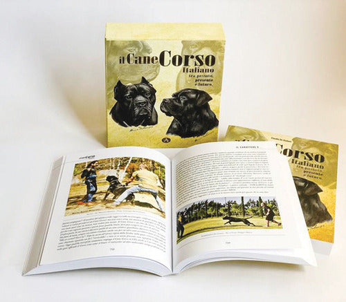 Cover of cane Corso italiano. Tra passato, presente e futuro
