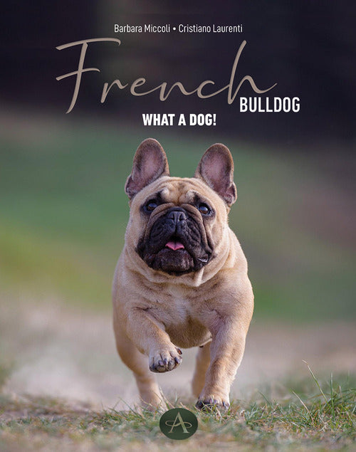 French bulldog. Passion, knowledge, and life shared with an extraordinary dog