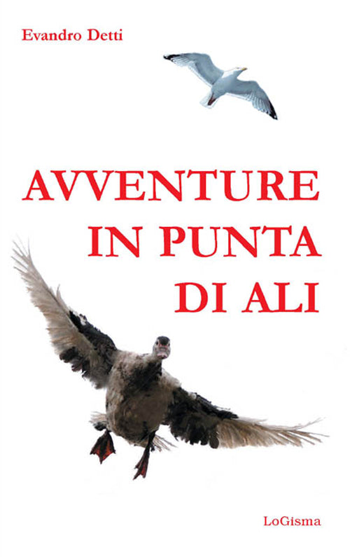 Cover of Avventure in punta di ali
